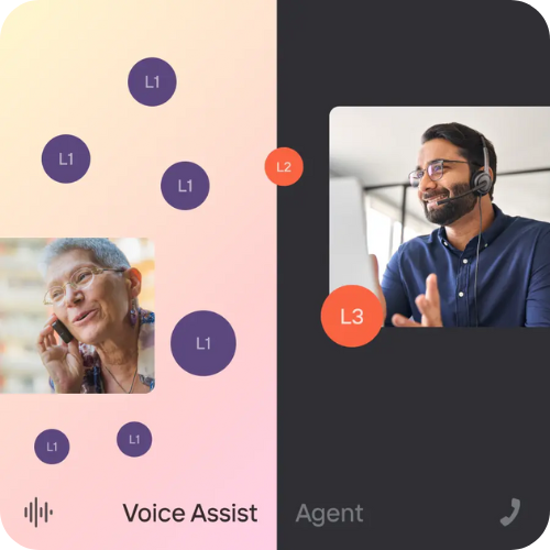 Voice assist